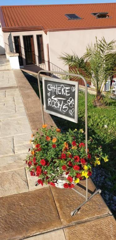 B&B Stella Del Cilento Di Anna Botti Agropoli Bagian luar foto