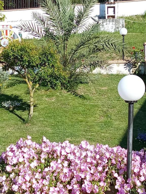 B&B Stella Del Cilento Di Anna Botti Agropoli Bagian luar foto